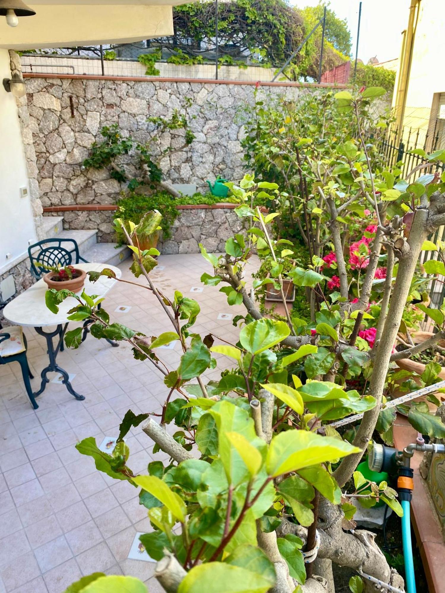 הוילה טאורמינה Casa Limoncello מראה חיצוני תמונה
